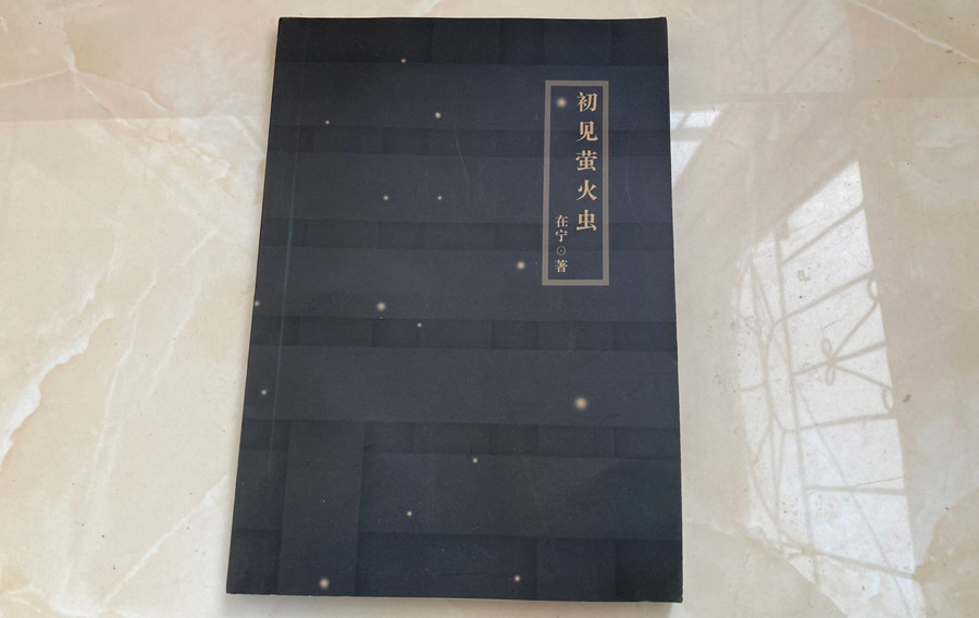 初见萤火虫.JPG